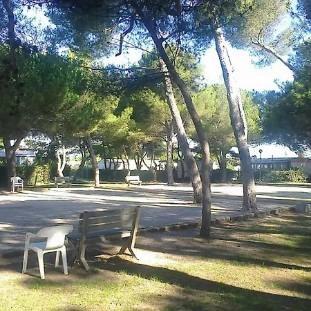 Cf - Esprit Detente Et Convivialite Entre Et Campagne - 3 Ch, 2 Sdb