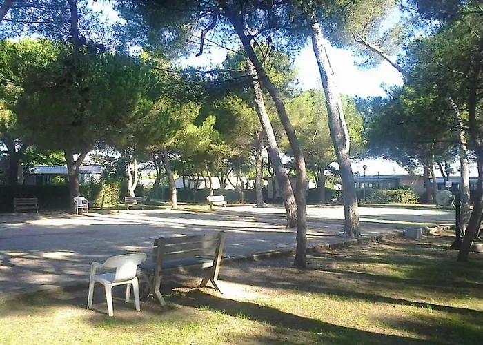 Cf - Esprit Detente Et Convivialite Entre Et Campagne - 3 Ch, 2 Sdb